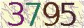 Please enter the image verification code