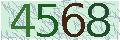 Please input image Verification code