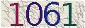 Please input image Verification code